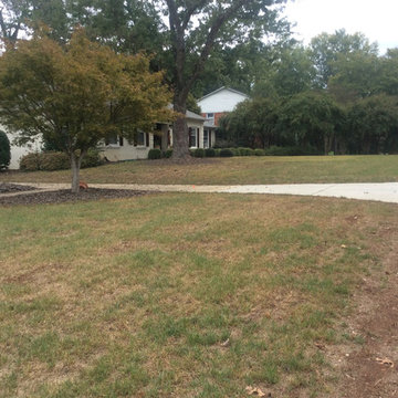 Front Yard Renovation with Style BEFORE Photo