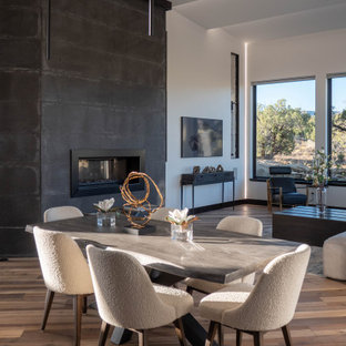 Offenes, Geräumiges Modernes Esszimmer mit weißer Wandfarbe, braunem Holzboden, Gaskamin, Kaminsims aus Metall und braunem Boden in Denver