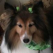 Tamara Negron's photo