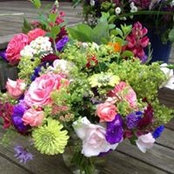 Martha Reed's photo