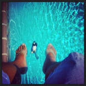 T V's photo
