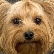Robin Lacy Buchmeier's photo
