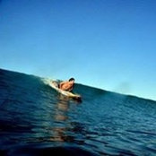 Playahuasca Playita's photo