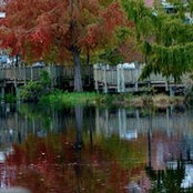 Sandy Williams Soucek's photo