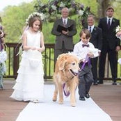 Gail Patty's photo