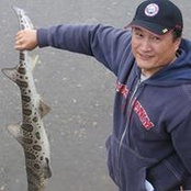 Yan Feng's photo
