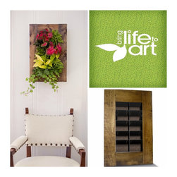 Product Photos - Indoor Pots And Planters