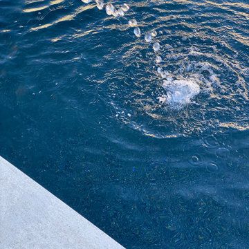 Contemporary Water Garden