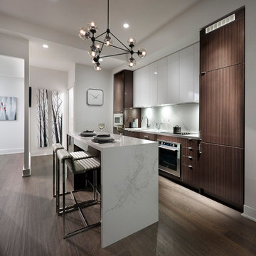 Townhouse, Lake Ontario