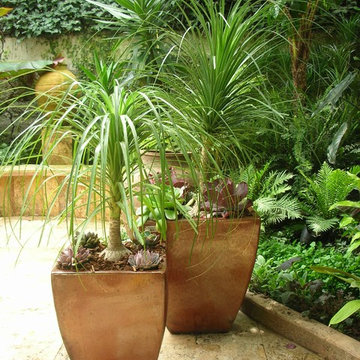 Hayes Garden