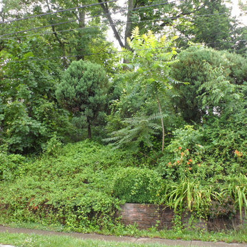 Property Overhaul- Horsham, PA