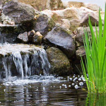 Water Features
