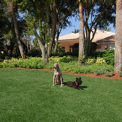 Pet Turf - Products