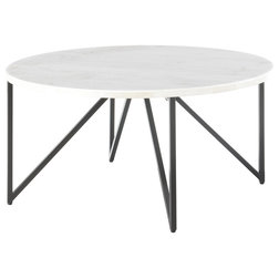 Transitional Coffee Tables by Picket House