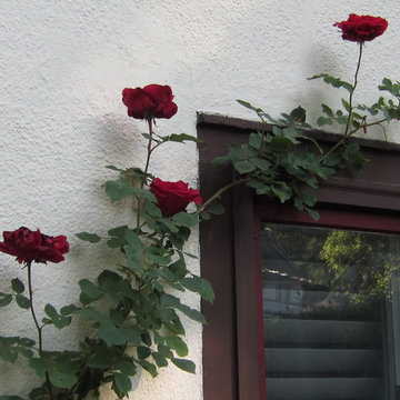 California, Provence in Bronxville