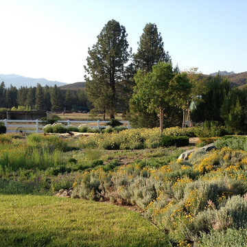 Mountain Home/Ranch
