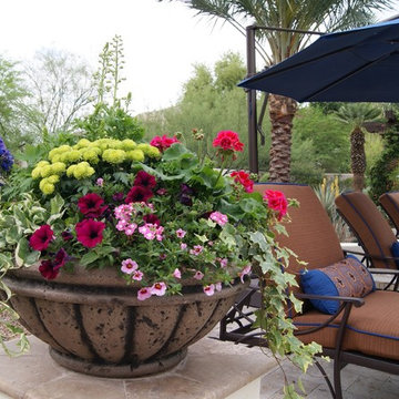Decorative Patios