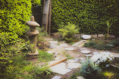 Cette image montre un jardin japonais avant asiatique de taille moyenne.