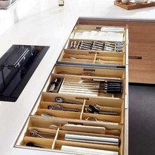 Organization