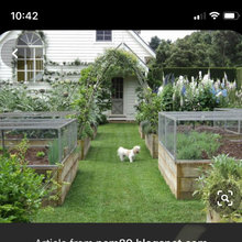 Garden / outdoor space