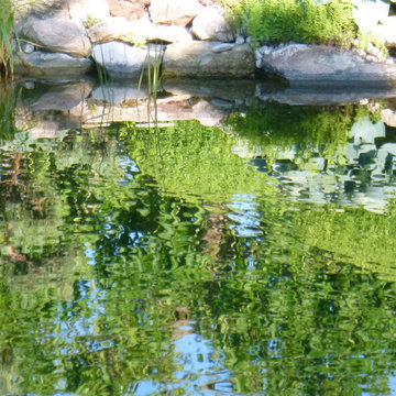 Wasserspiegelung