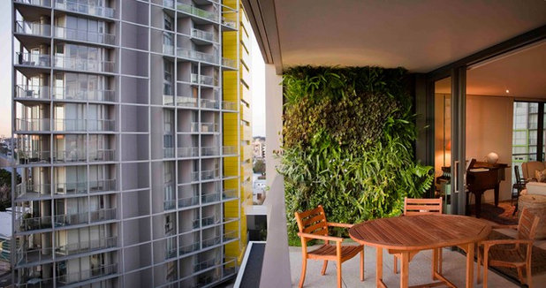Modern Balcony by The Greenwall Company