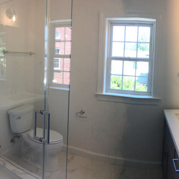Del Ray Whole House Renovation and Addition