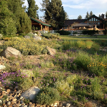 Mountain Home/Ranch