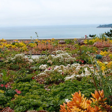 Stinson Beach, Marin County CA