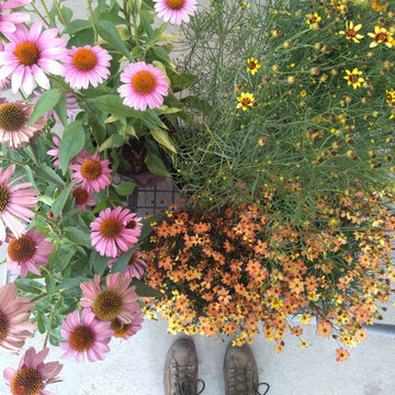 Country Pollinator Garden
