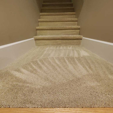 Steam Cleaning of the Carpet on the Stairs for New Years Located in White Rock B