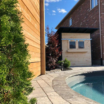 8x12 Modern Bar Shed / Pool Shed