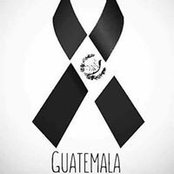 Luis Lobos's photo