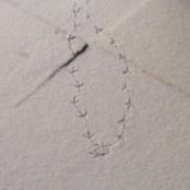 Wendy Lightner's photo
