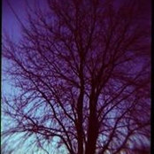 Monica Rega's photo