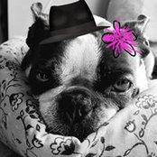 Madalyn Szabo Anderson's photo