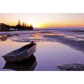 Cathy Mills's photo