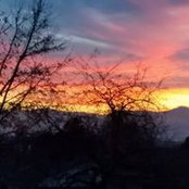 Pat Goodyear's photo