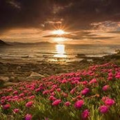 Lee-Ann Weber-Hatch's photo