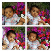 Foto von Maneesh B M