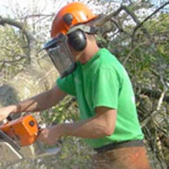 Oxford Tree Service LLC