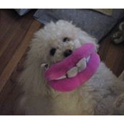 Paula Gremour's photo