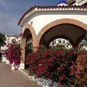 Mark Pineda's photo
