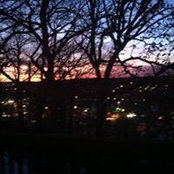 Donna Reiser's photo