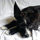 deb_malloy