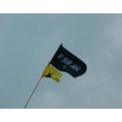 Aaron Melson's photo