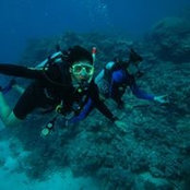 Arunava Dalal's photo
