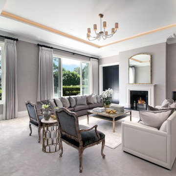 Transitional Living Room