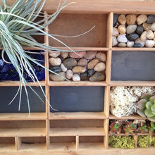 interior plants