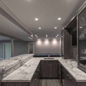 Contemporary Renovation